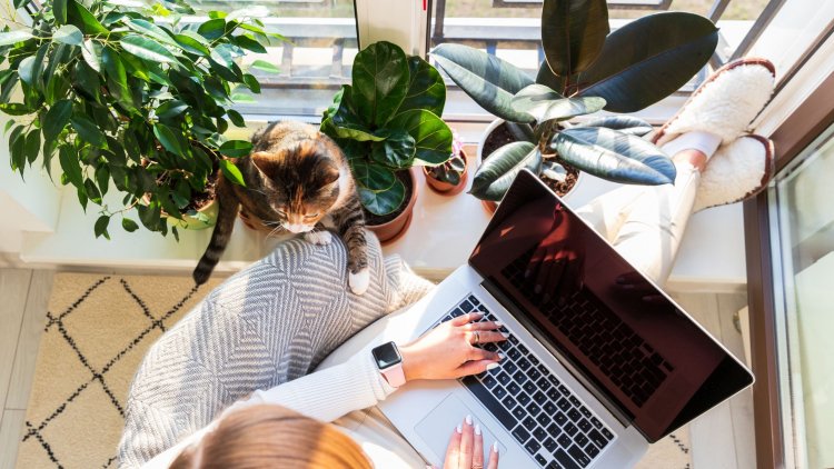 Le Freelancing en 2024 : Tendances, Opportunités et Stratégies pour Réussir